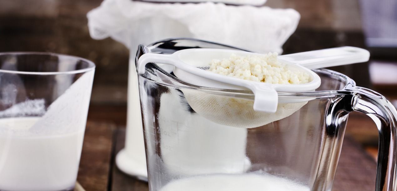 How to Make Milk Kefir - Quality Kefir