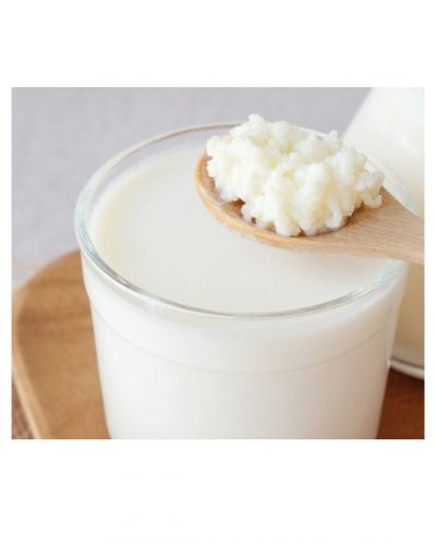 A spoonful of organic live milk kefir grains next to a cup of freshly prepared milk kefir, showcasing the probiotic-rich goodness of homemade kefir.