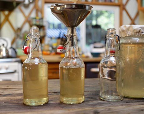 Water Kefir Frequently Asked Questions grains fermentation in a glass jar.