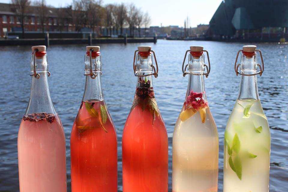 Swing-top bottles for second fermentation filled with water kefir, enhanced with fruits and mint leaves. Learn how to make water kefir at home for a delicious and probiotic-rich beverage